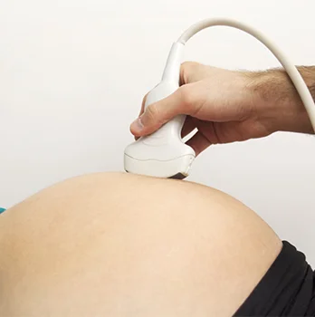 ultrasonido estructural del segundo trimestre 3d